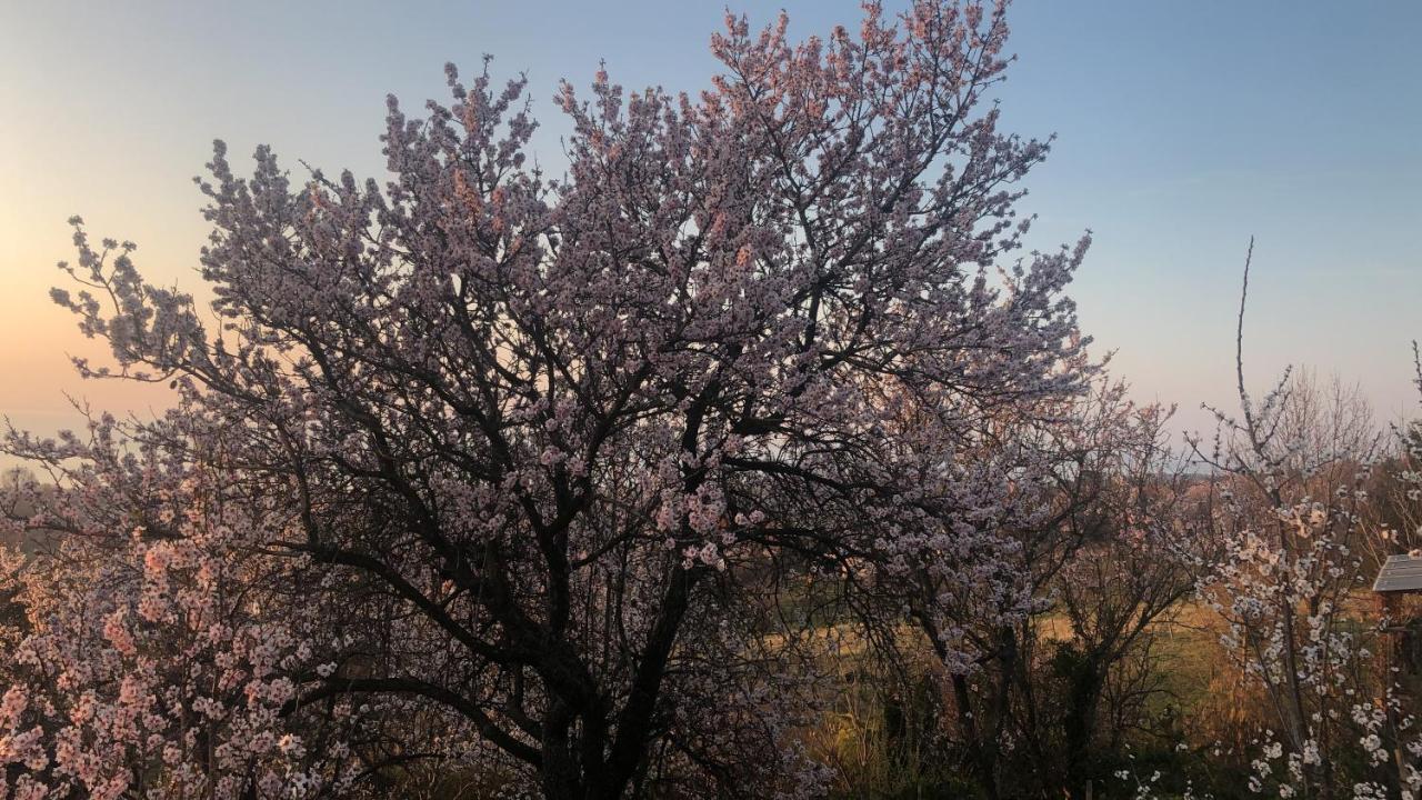 Panorama Balaton Villa Balatongyorok Luaran gambar